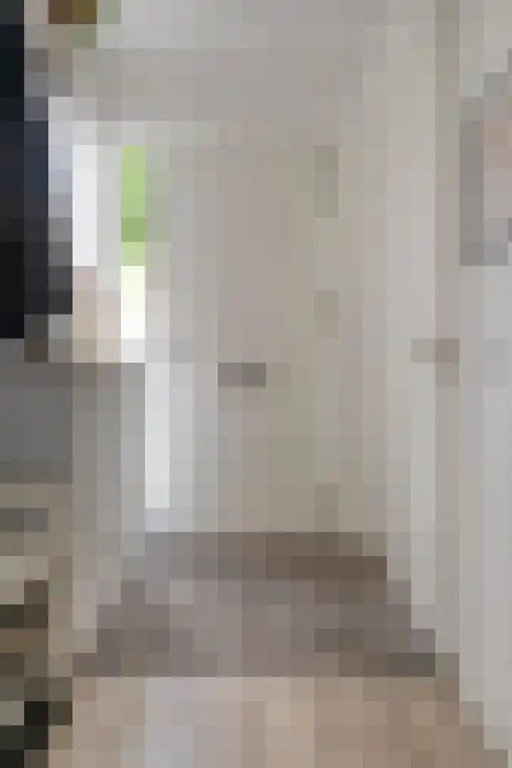 Troelstralaan 62 Utrecht thumbnail 5