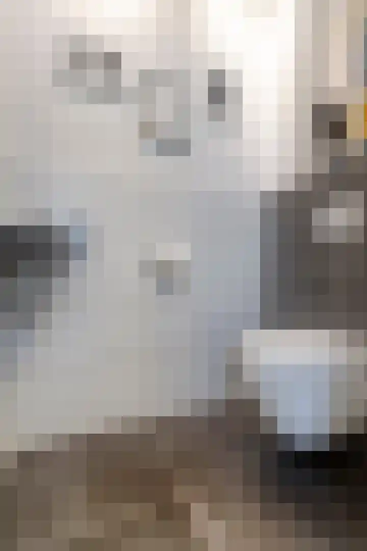 Troelstralaan 62 Utrecht thumbnail 7