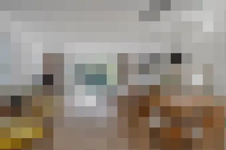 Troelstralaan 62 Utrecht thumbnail 8