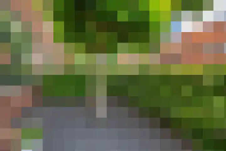 Troelstralaan 67 Heemstede thumbnail 4