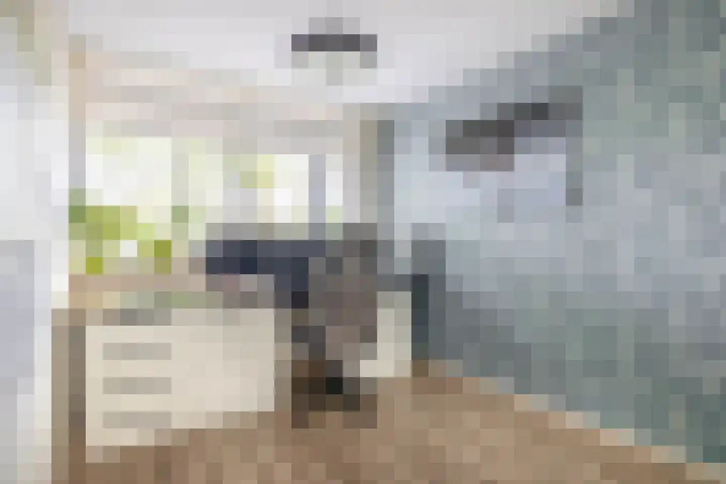 Troelstralaan 7 Pijnacker thumbnail 19