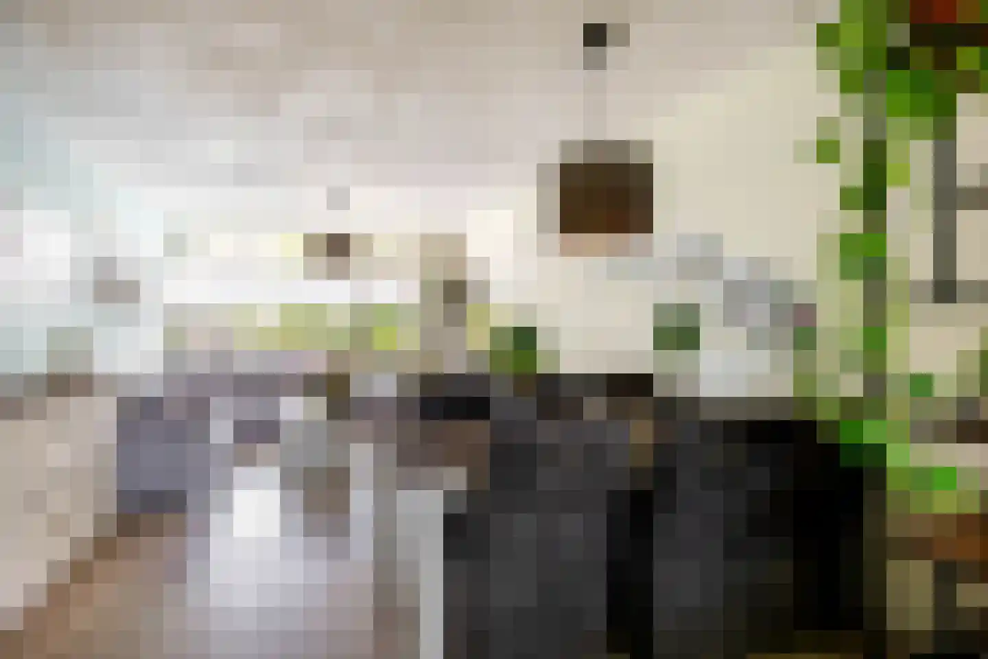 Troelstralaan 7 Pijnacker thumbnail 5