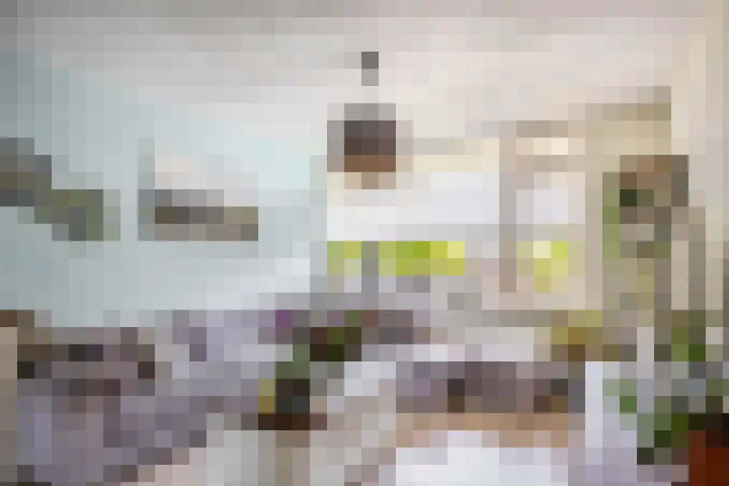 Troelstralaan 7 Pijnacker thumbnail 6