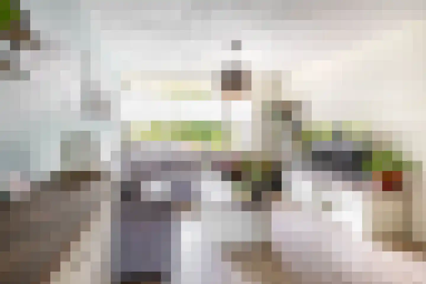 Troelstralaan 7 Pijnacker thumbnail 7
