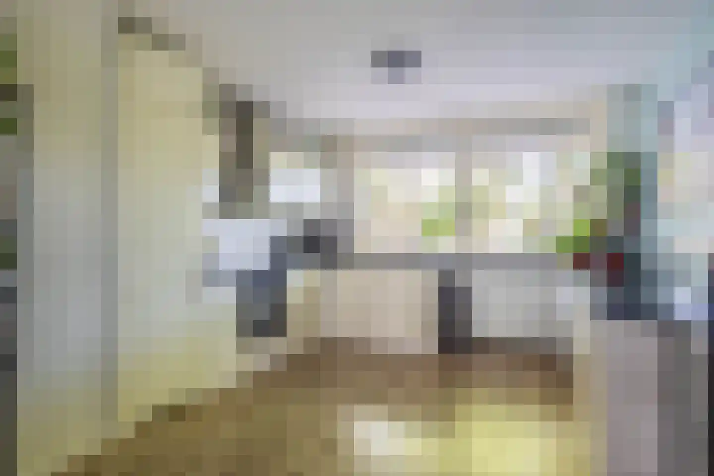 Troelstralaan 7 Pijnacker thumbnail 8