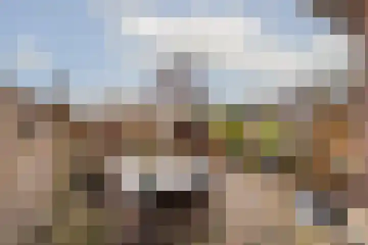 Troelstralaan 73 Zwanenburg thumbnail 19