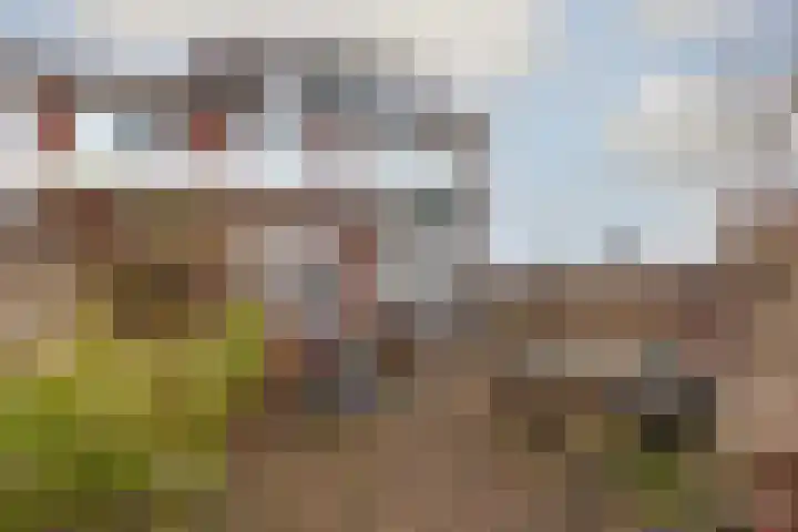 Troelstralaan 73 Zwanenburg thumbnail 20