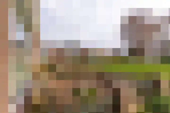 Troelstralaan 73 Zwanenburg thumbnail 24