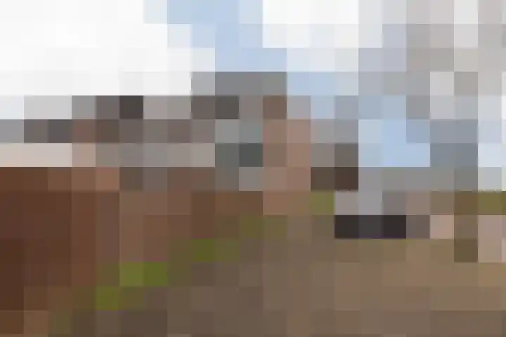 Troelstralaan 73 Zwanenburg thumbnail 26
