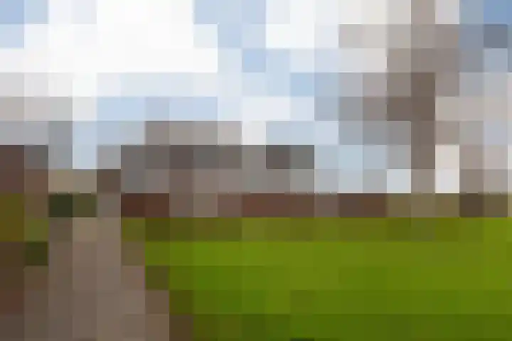 Troelstralaan 73 Zwanenburg thumbnail 28
