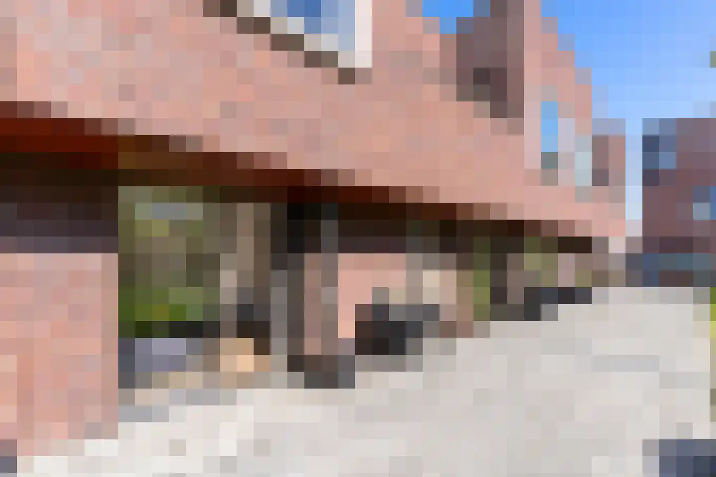Troelstralaan 74 Utrecht thumbnail 13