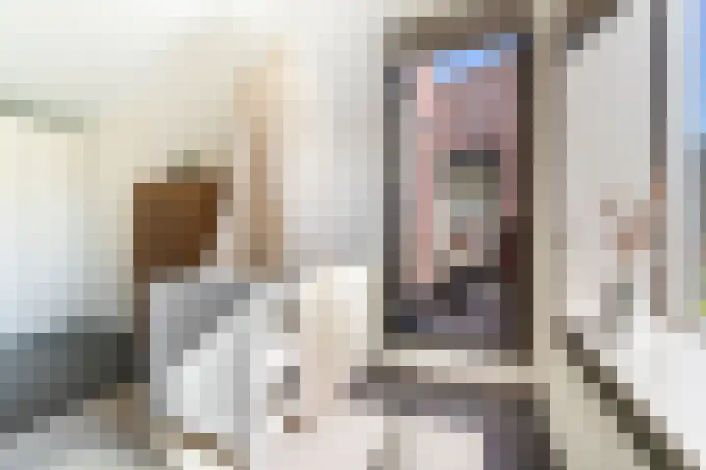 Troelstralaan 74 Utrecht thumbnail 19
