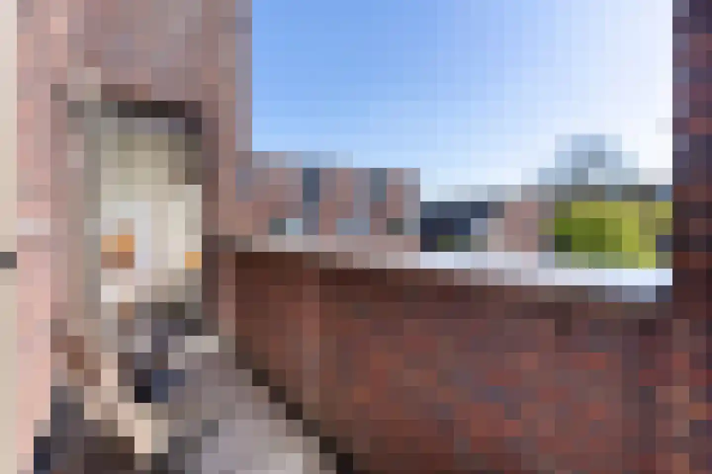 Troelstralaan 74 Utrecht thumbnail 20