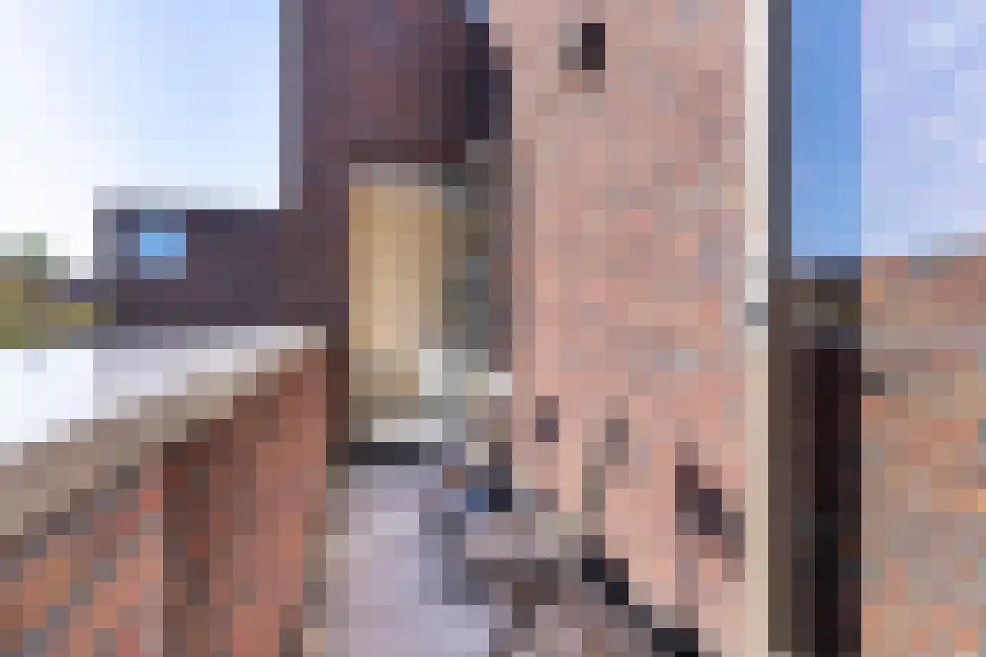Troelstralaan 74 Utrecht thumbnail 22
