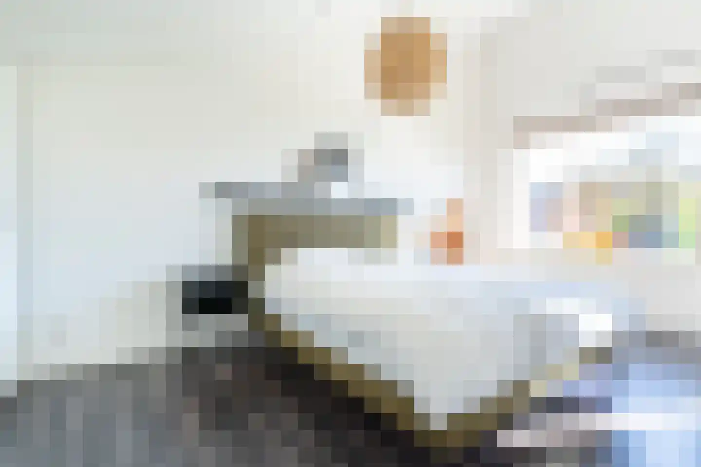 Troelstralaan 74 Utrecht thumbnail 24