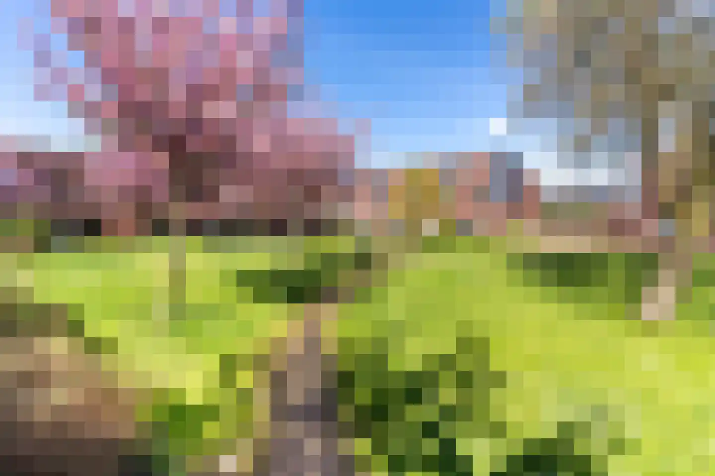Troelstralaan 74 Utrecht thumbnail 34