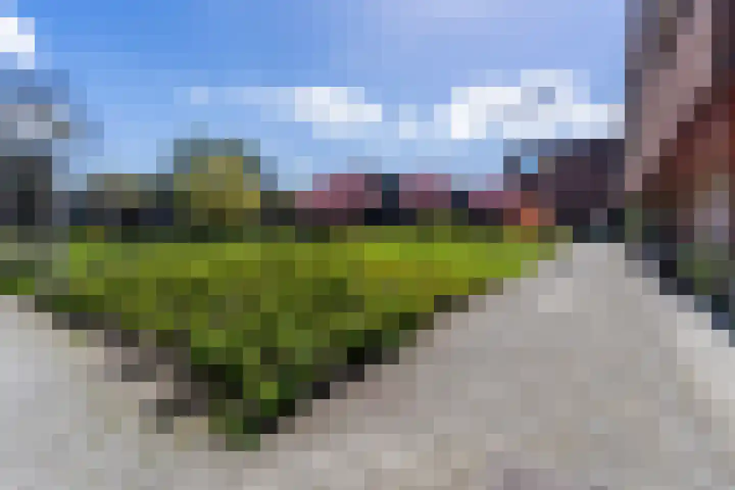 Troelstralaan 74 Utrecht thumbnail 36