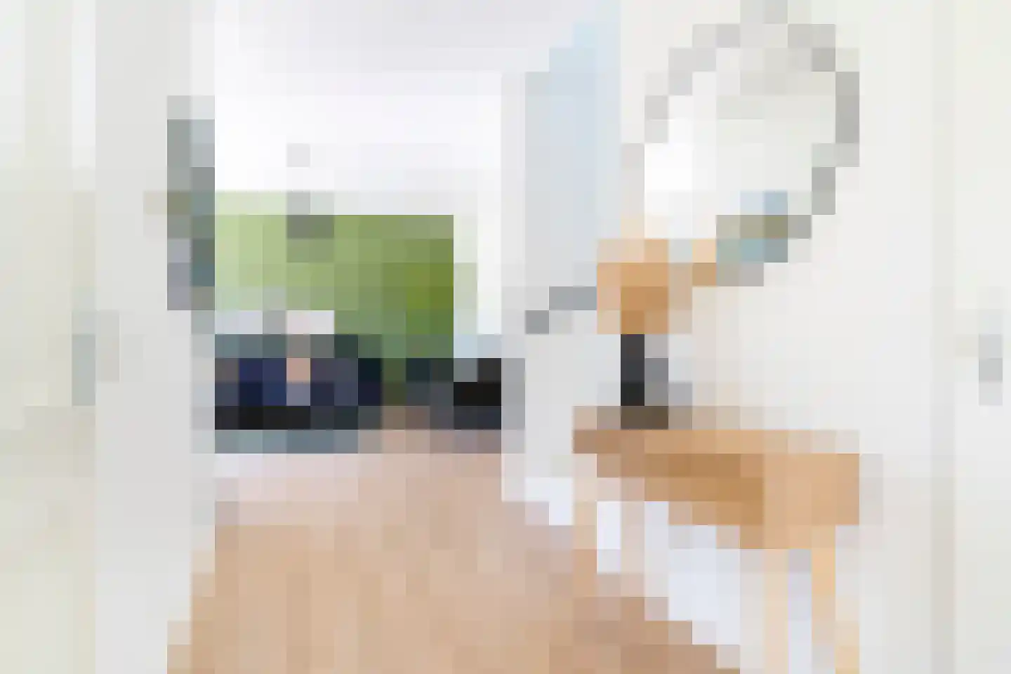 Troelstralaan 74 Utrecht thumbnail 4