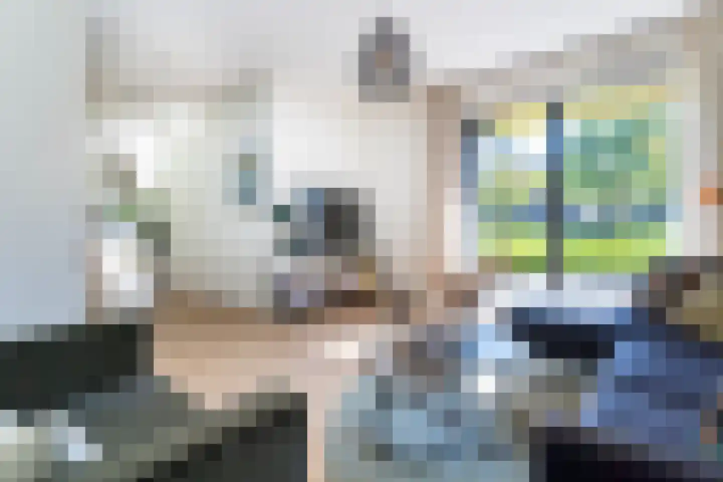 Troelstralaan 74 Utrecht thumbnail 7