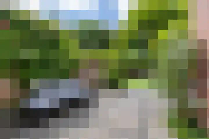 Troelstralaan 75 Groningen thumbnail 11