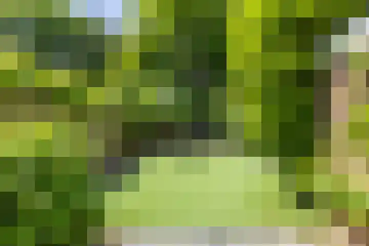 Troelstralaan 75 Groningen thumbnail 12