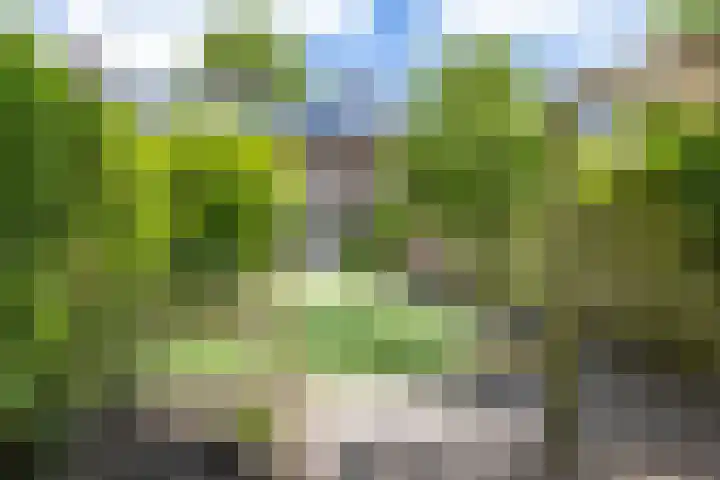 Troelstralaan 75 Groningen thumbnail 13