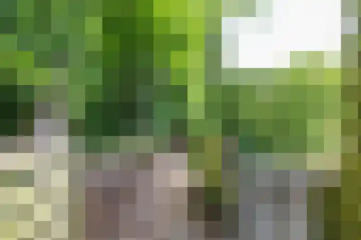 Troelstralaan 75 Groningen thumbnail 14