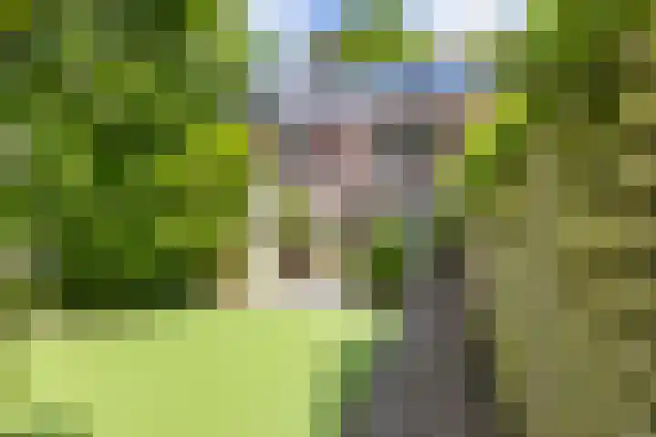 Troelstralaan 75 Groningen thumbnail 15
