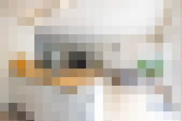 Troelstralaan 75 Groningen thumbnail 20