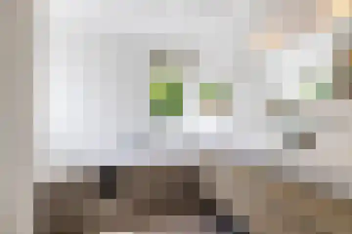 Troelstralaan 75 Groningen thumbnail 34