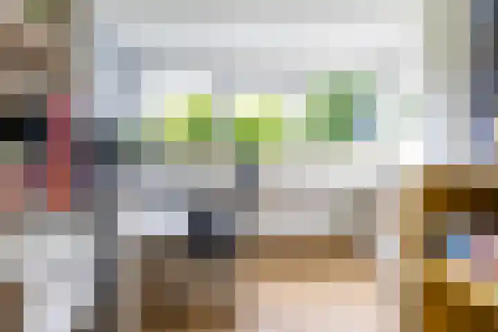 Troelstralaan 75 Groningen thumbnail 39