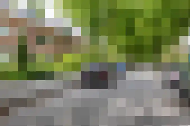 Troelstralaan 75 Groningen thumbnail 47