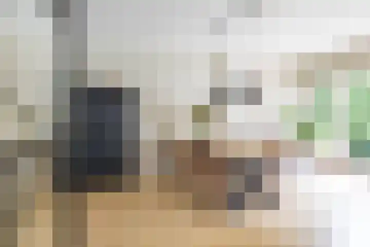 Troelstralaan 75 Groningen thumbnail 5