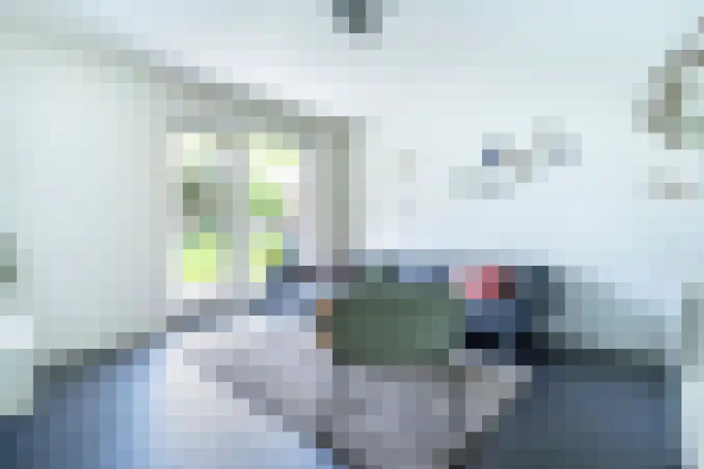 Troelstralaan 76 Utrecht thumbnail 10