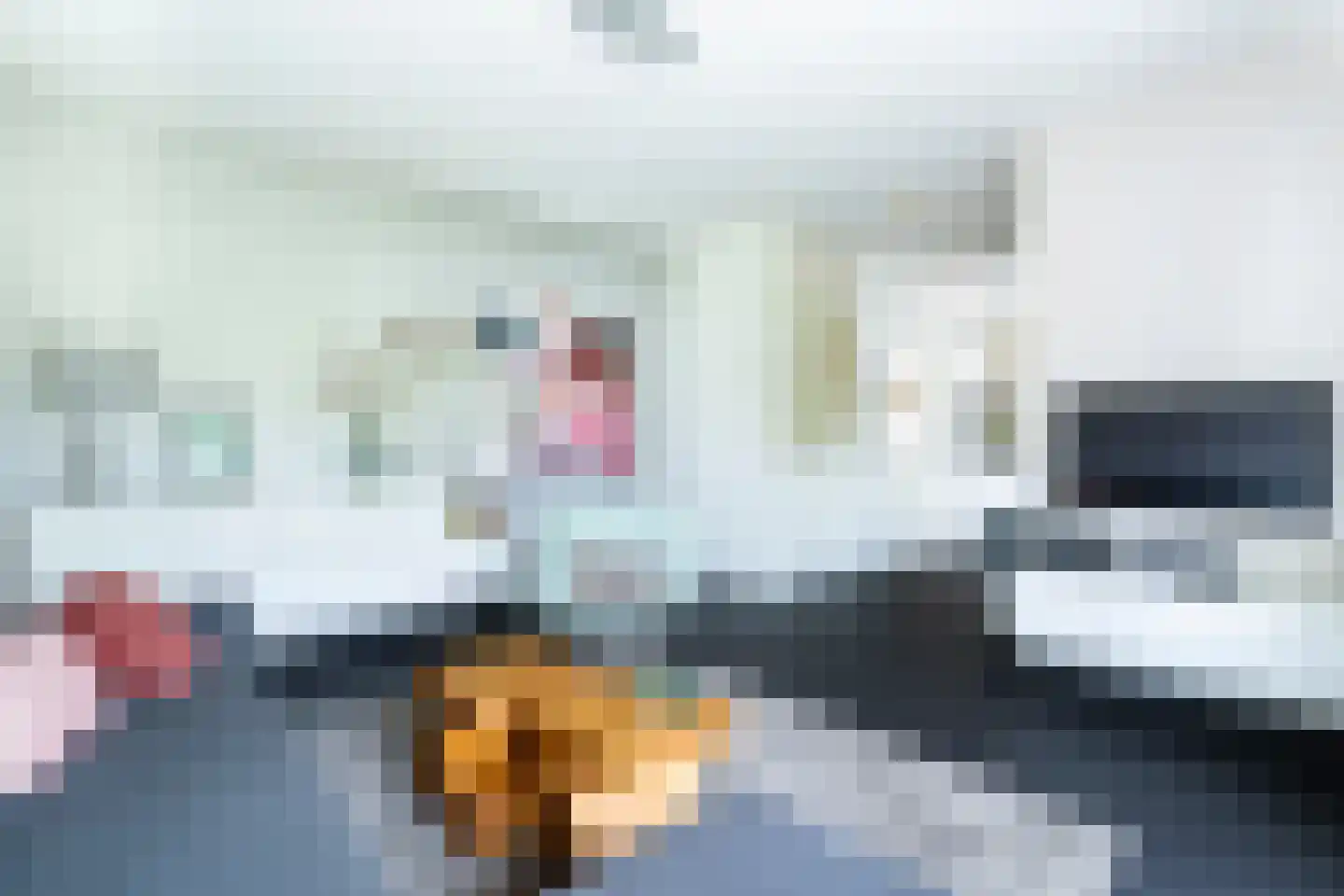 Troelstralaan 76 Utrecht thumbnail 12