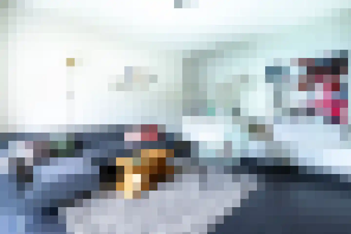 Troelstralaan 76 Utrecht thumbnail 13