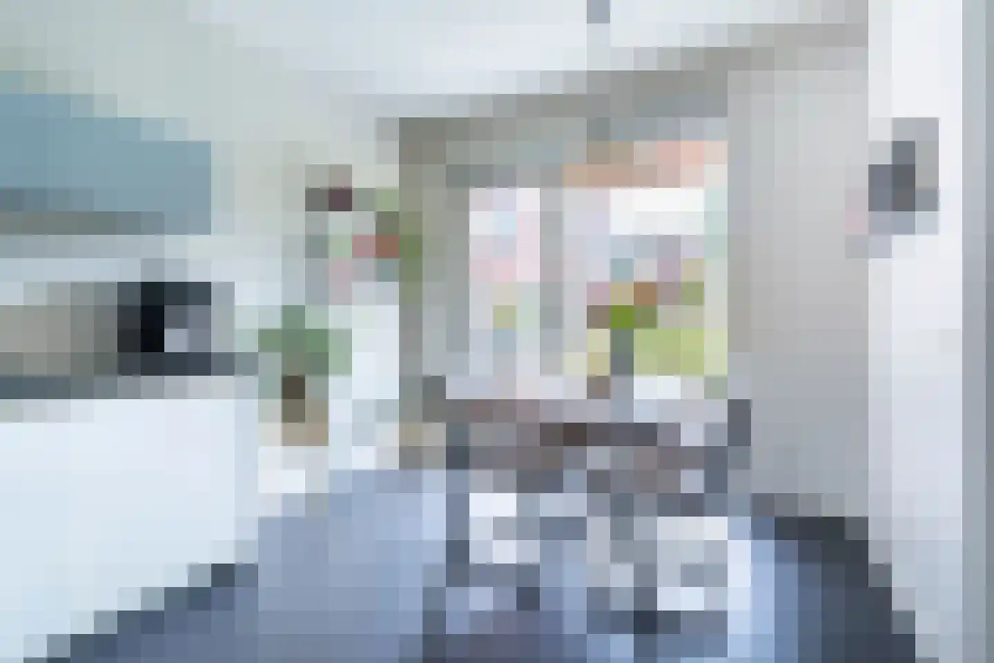 Troelstralaan 76 Utrecht thumbnail 16