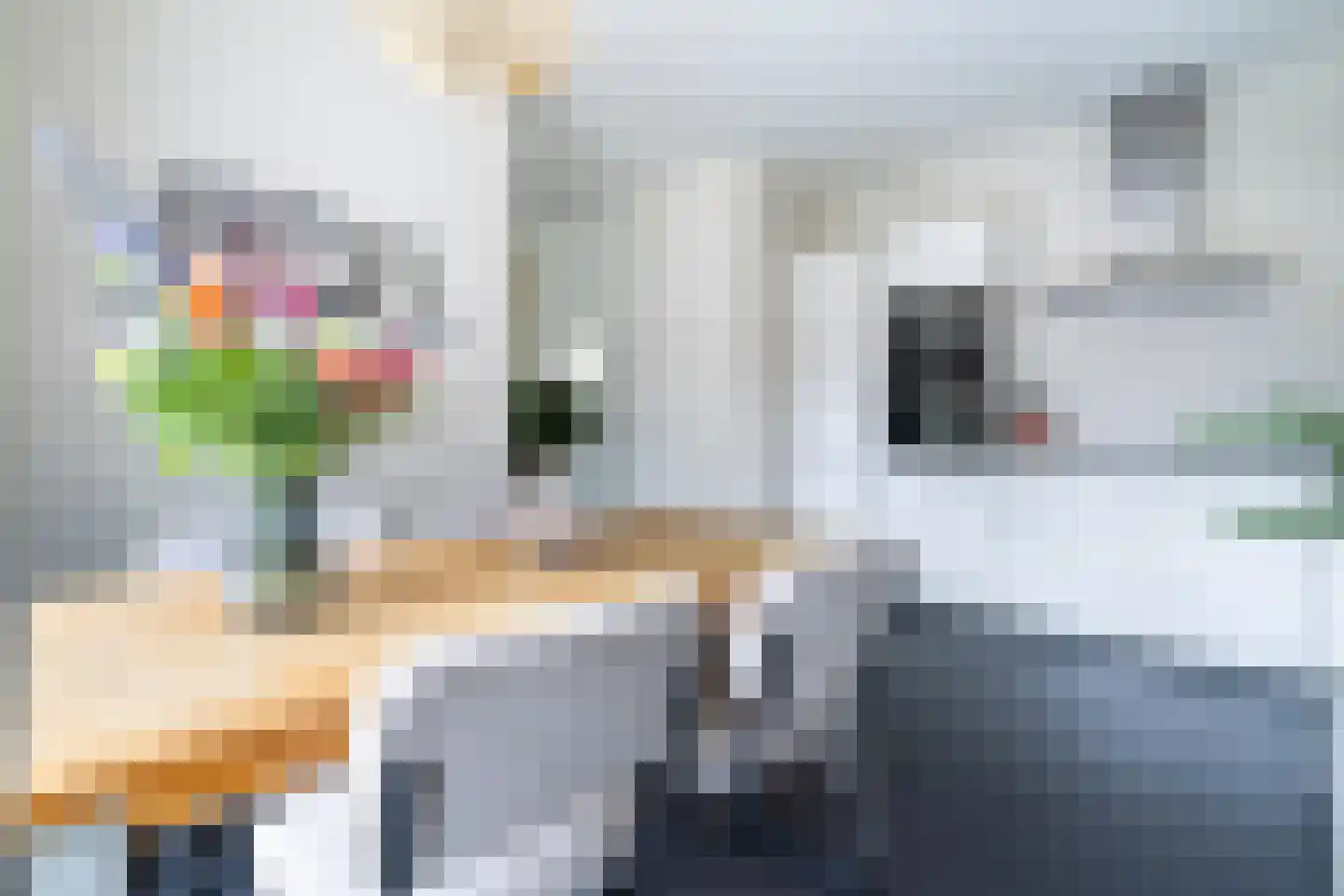Troelstralaan 76 Utrecht thumbnail 19