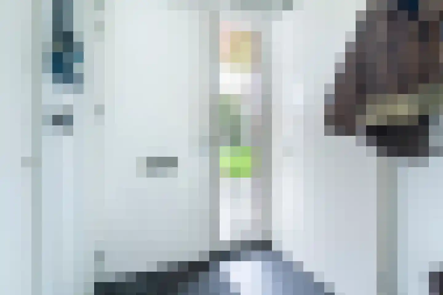 Troelstralaan 76 Utrecht thumbnail 37
