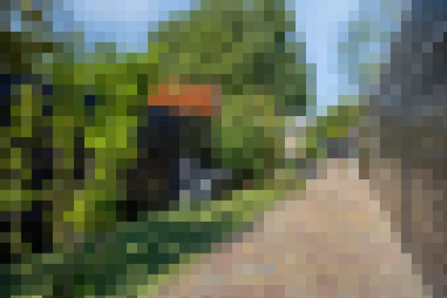 Troelstralaan 81 Zwanenburg thumbnail 37
