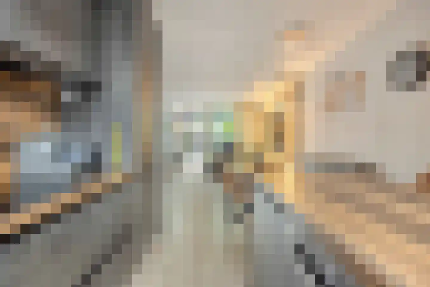 Troelstralaan 82 Amsterdam thumbnail 16
