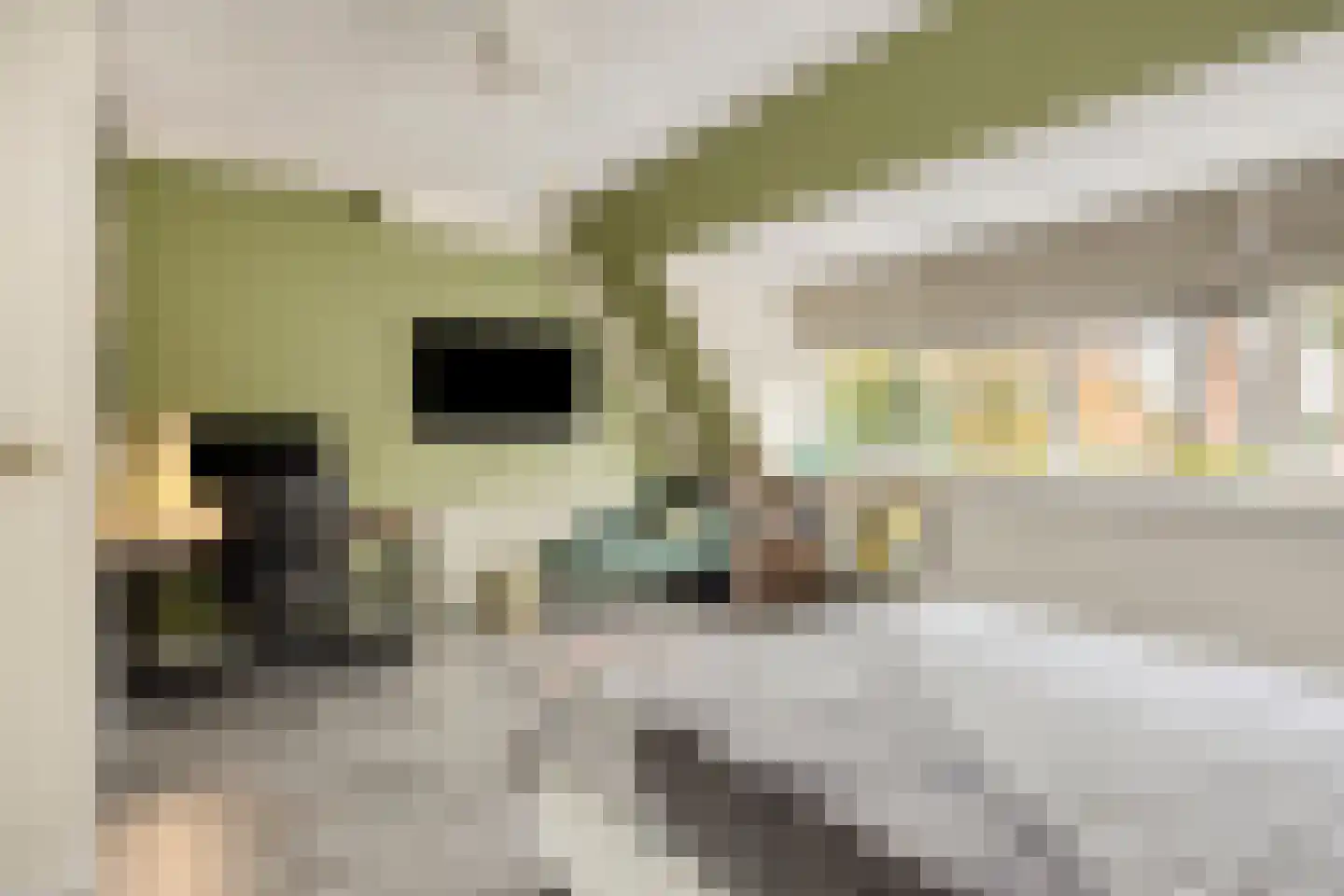 Troelstralaan 82 Amsterdam thumbnail 23