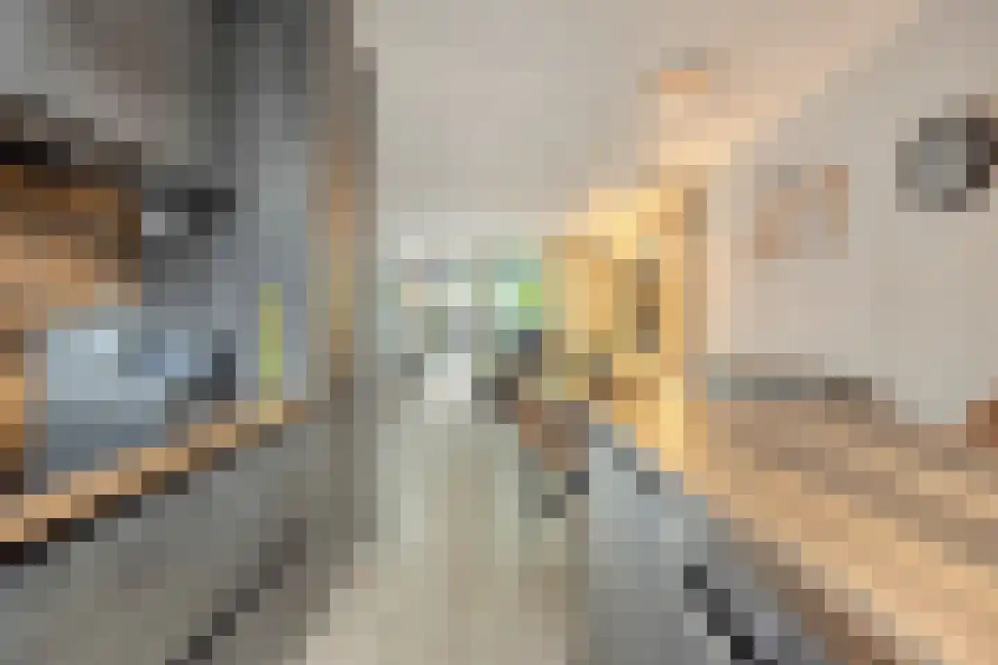 Troelstralaan 82 Amsterdam thumbnail 6