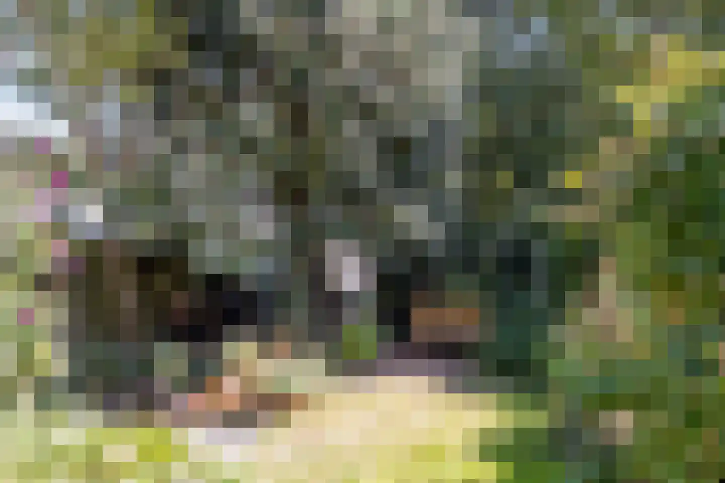 Troelstralaan 88 Groningen thumbnail 30