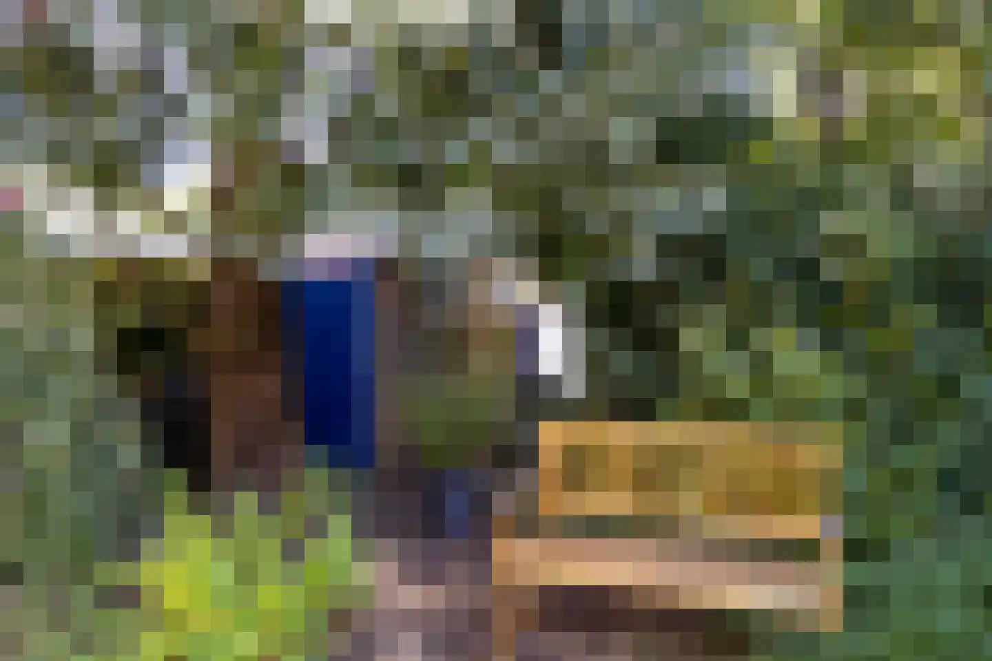 Troelstralaan 88 Groningen thumbnail 31