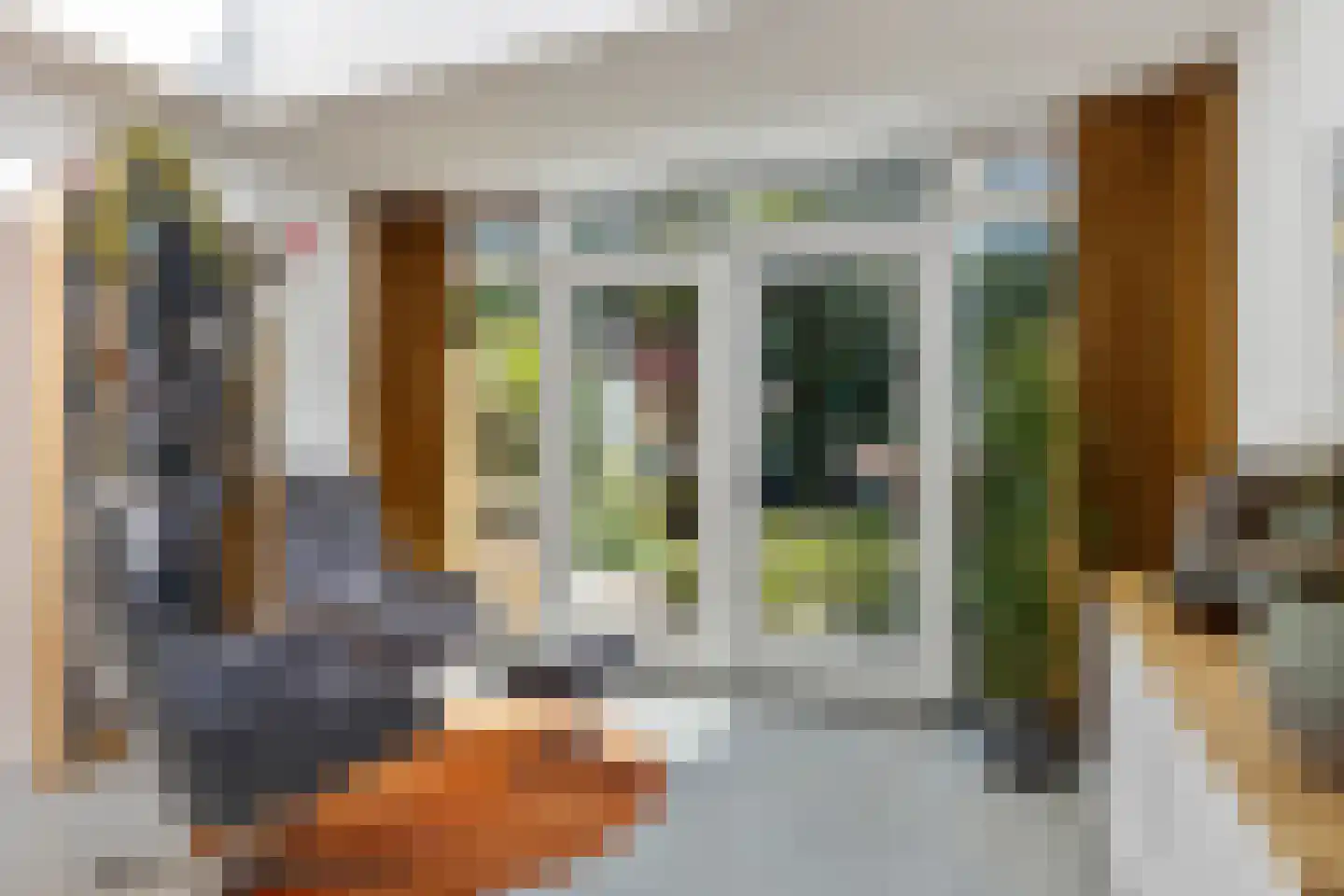 Troelstralaan 88 Groningen thumbnail 9
