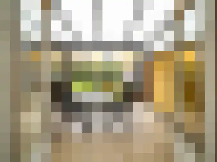 Troelstralaan 91 Zutphen thumbnail 24