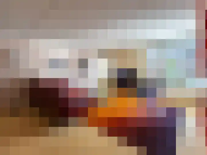 Troelstralaan 91 Zutphen foto 3