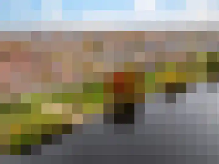 Troelstralaan 91 Zutphen thumbnail 37