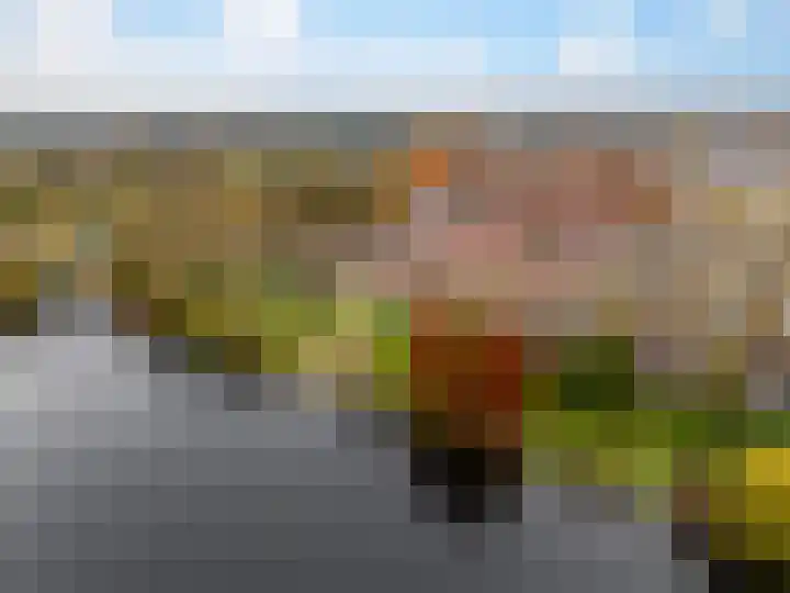 Troelstralaan 91 Zutphen thumbnail 38